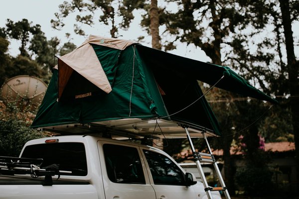 Où trouver des excursions pour observer les ours bruns en Alaska?