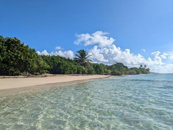 Top activités nautiques à expérimenter en Guadeloupe